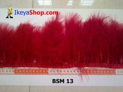 BSM 13  large2